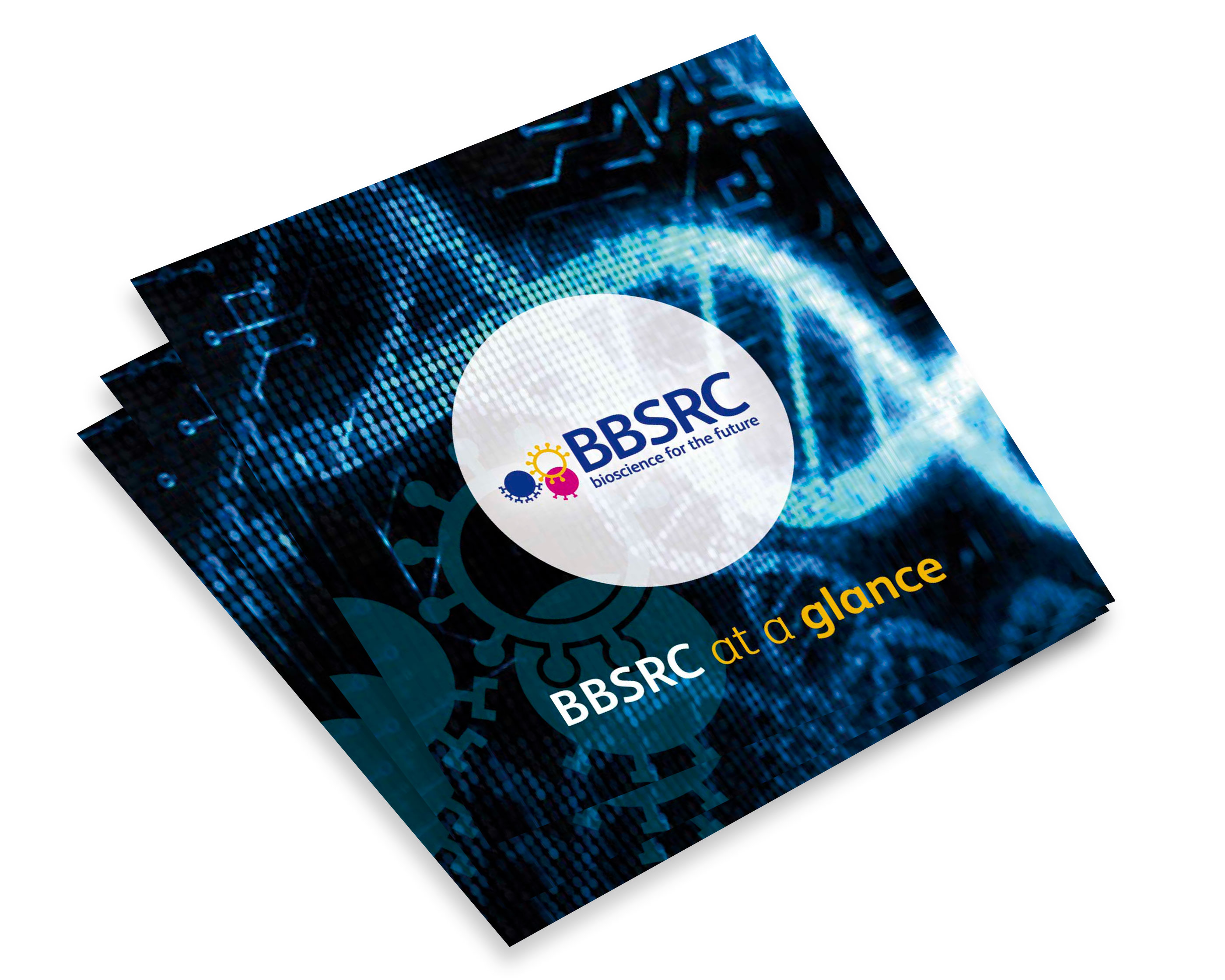 BBSRC - At A Glance - Brochure Design