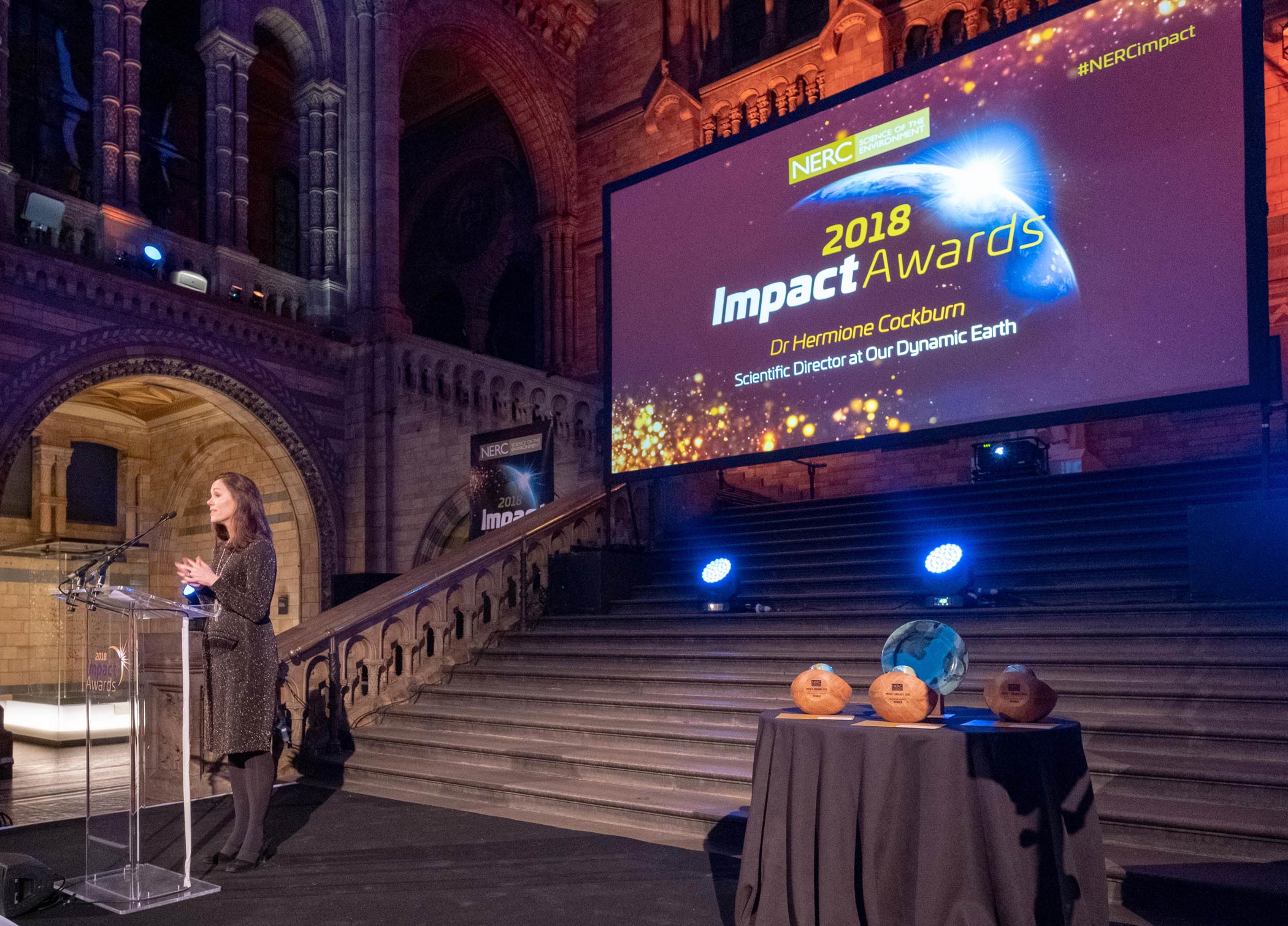 NERC Impact Awards Evening - Guest Speaker on Stage