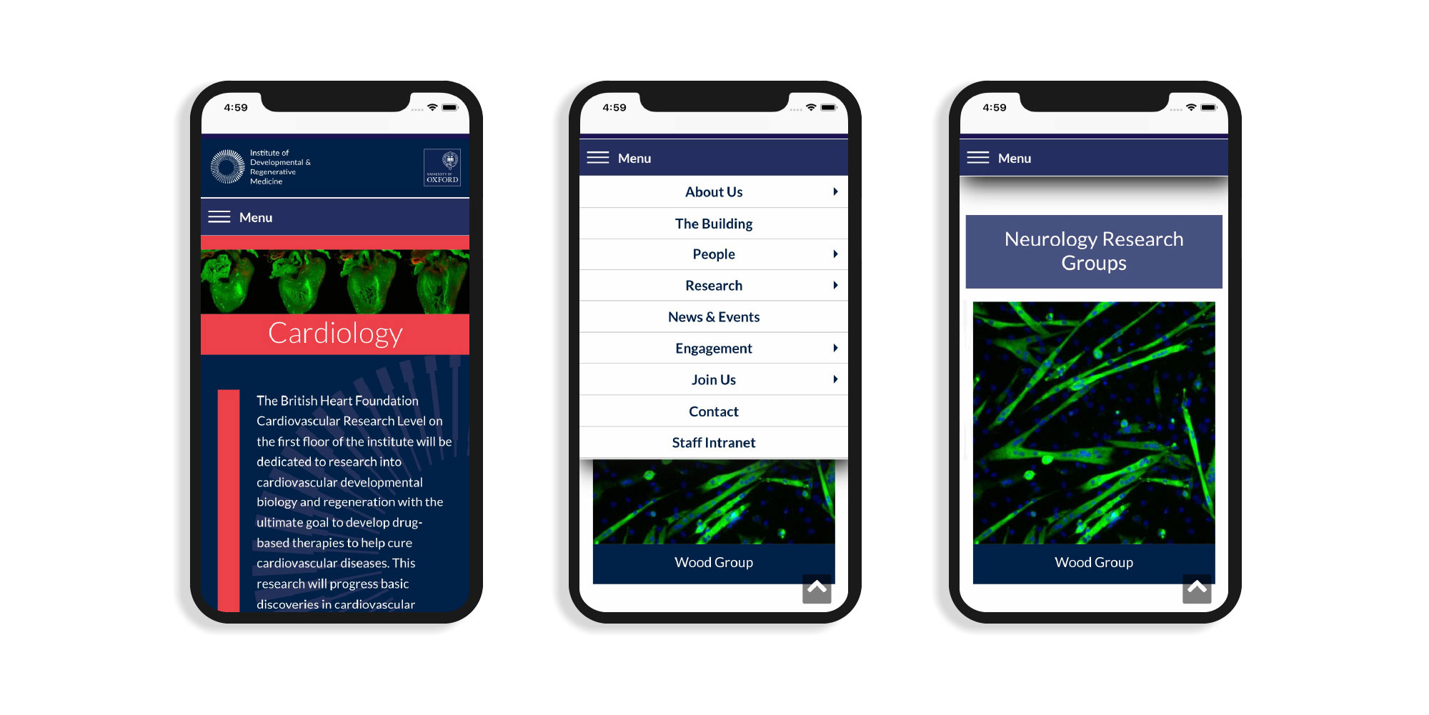 IDRM Website is responsive and mobile phone friendly 
